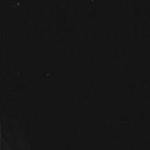 Meet your Posher, Lili